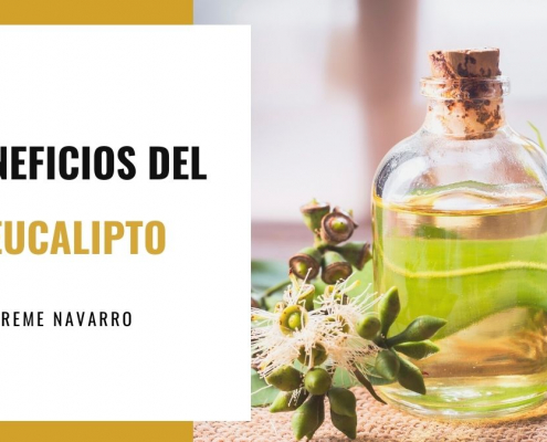 Aceite de eucalipto en tarro de cristal